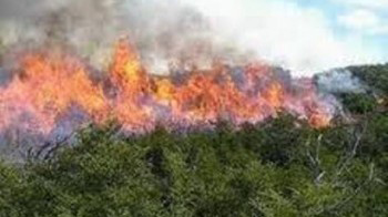 Incendio forestal en Guantánamo daña 340 hectáreas Incendio forestal en Guantánamo daña 340 hectáreas