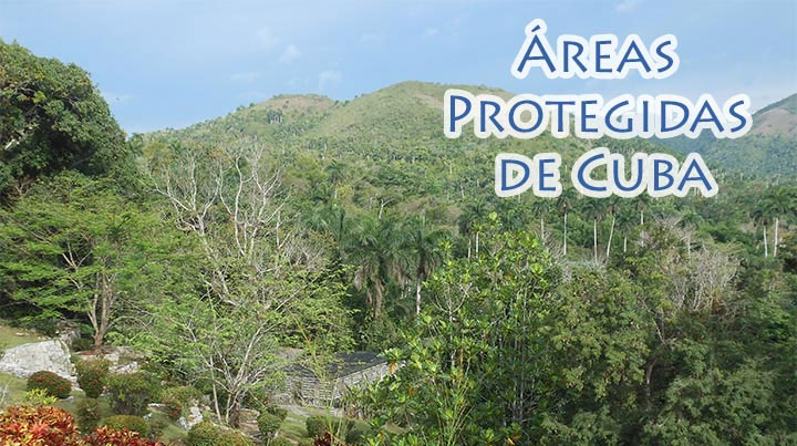 Sobresale en Cuba la preservación de sus áreas protegidas 