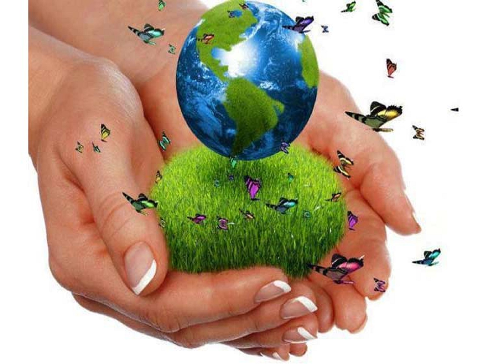 Cuba celebra Día Mundial del Medio Ambiente