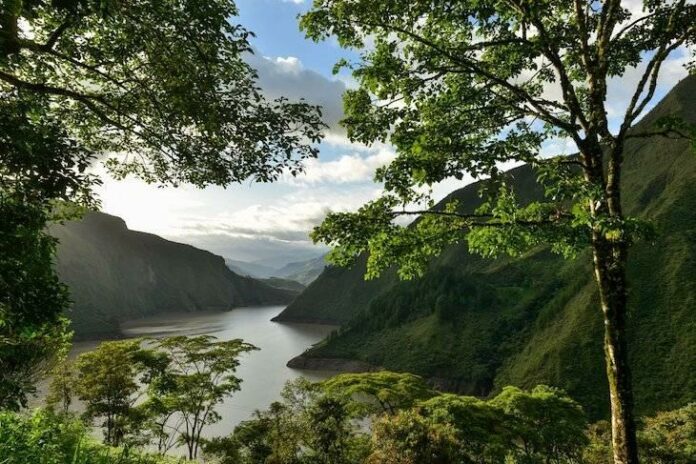 22 de junio: Día Internacional de los Bosques Tropicales 22 de junio: Día Internacional de los Bosques Tropicales