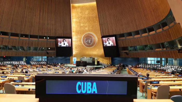 Denuncia ministra del CITMA ante la ONU el negativo impacto del bloqueo en el cumplimiento de Agenda 2030