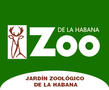 Zoológico de 26