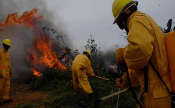 Alertan sobre extensión de los incendios forestales