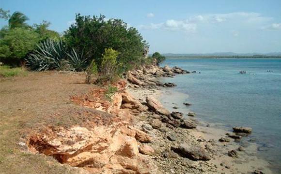 Desarrollan en Holguín proyectos medioambientales de protección a zonas costeras