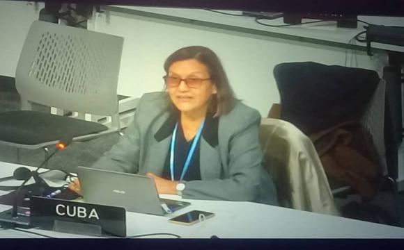 Intervención de la ministra del CITMA en Diálogo Ministerial sobre finanzas climáticas