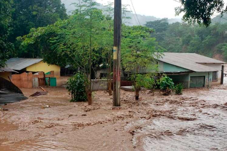 FAO reclama apoyo para afectados por huracanes en Centroamérica