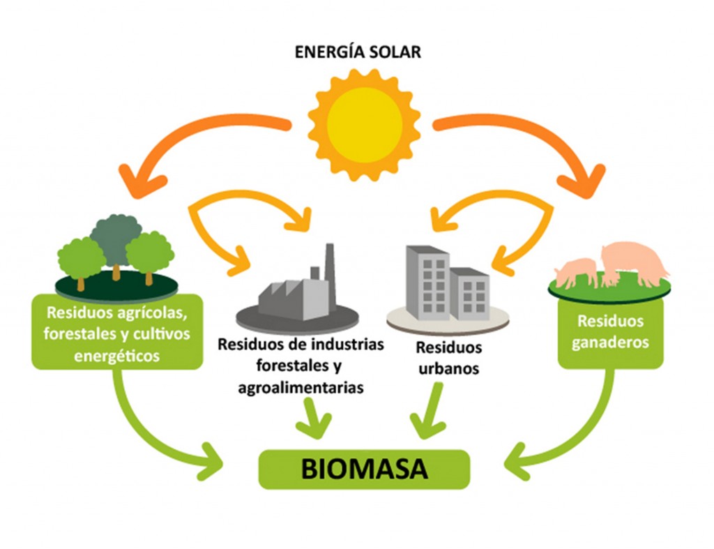 (Infografía: ebasl.es)