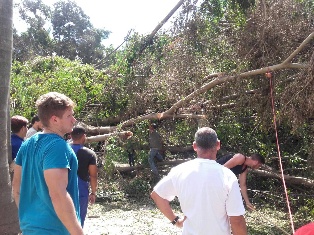 Citmatel en las tareas de recuperación tras el paso del huracán Irma