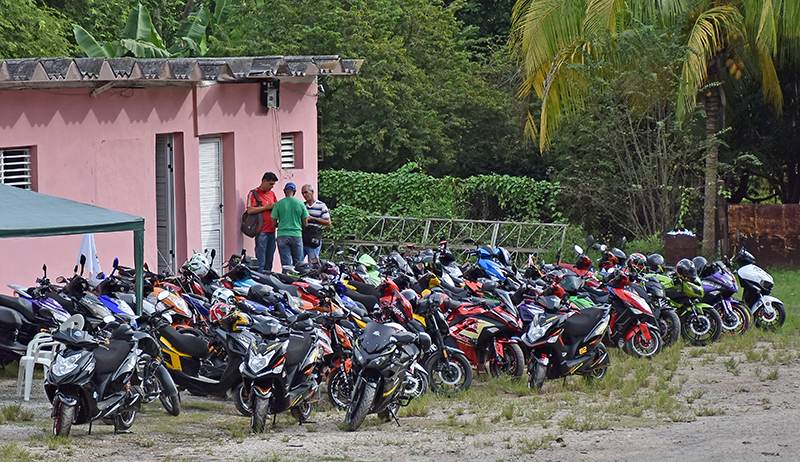 El Club de Motos Eléctricas “atropella” al caracol gigante africano. Foto: Sergei Montalvo Aróstegui