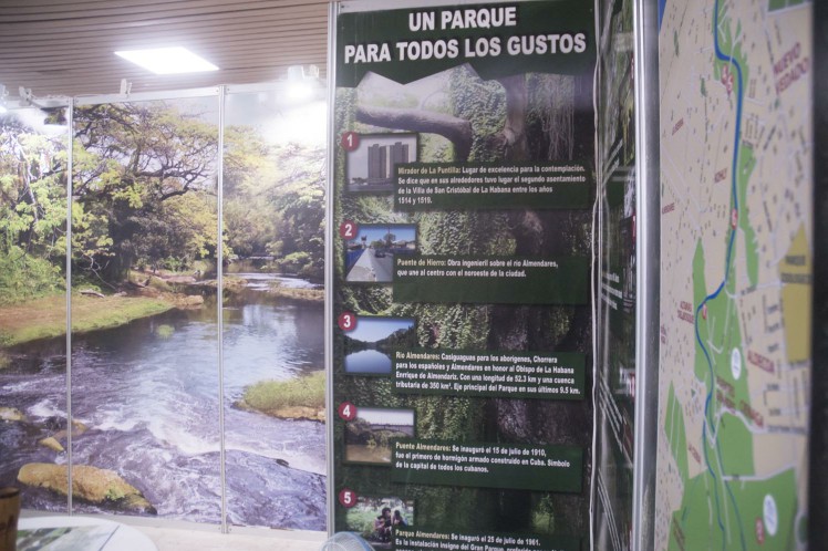 Convención Internacional sobre Medio Ambiente y Desarrollo