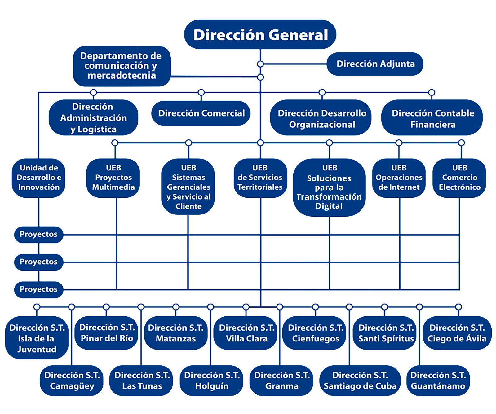Organigrama Citmatel