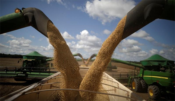 Cosecha de soja en Brasil. Foto: Reuters.